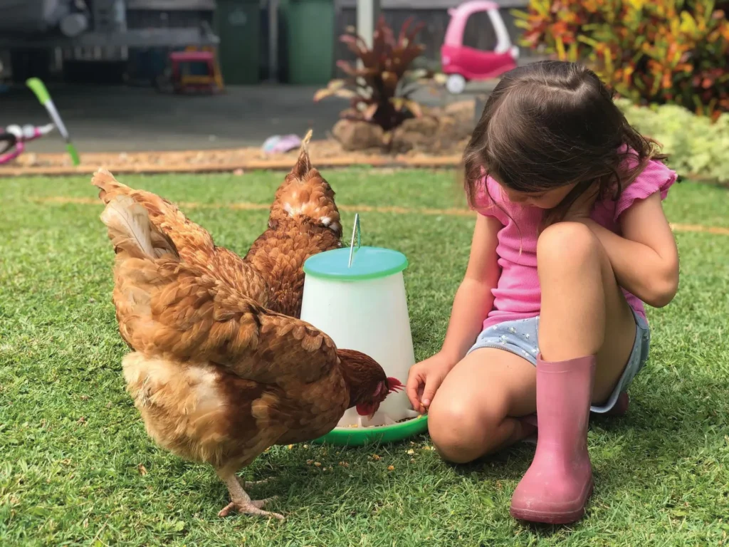 Little girl sitting with her chickens while they feed off a seed feeder